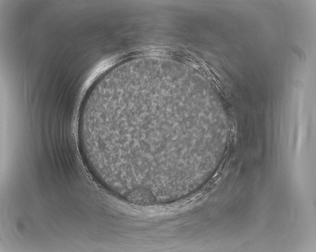 X0000115340006200911301557