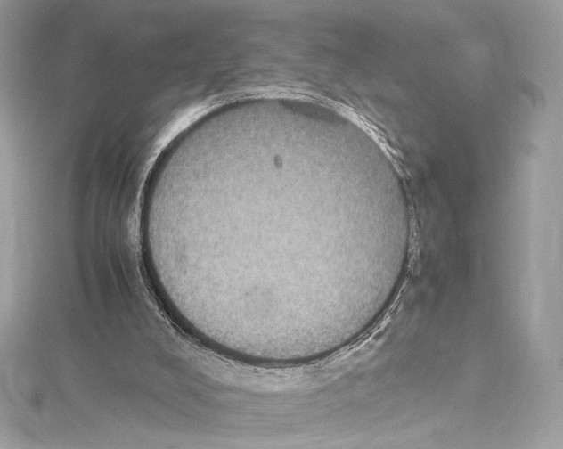 X0000115340008200911301557