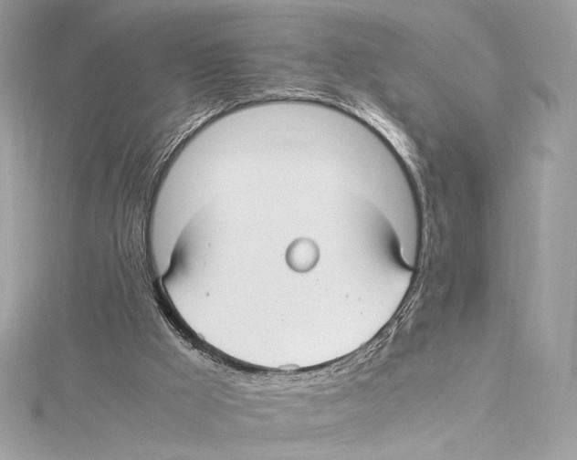 X0000115340009200911301557