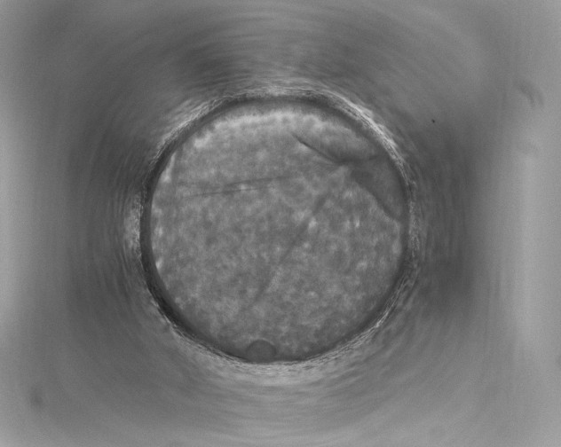 X0000115340010200911301557