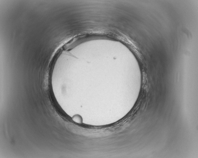 X0000115340012200911301557