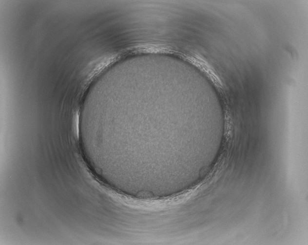 X0000115340014200911301557