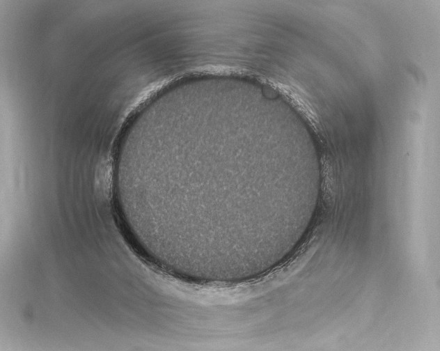 X0000115340016200911301557