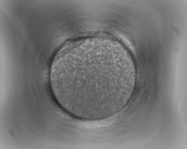 X0000115340017200911301557