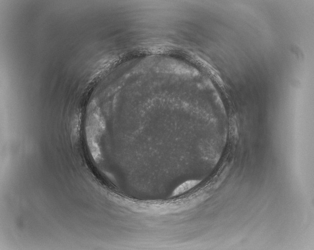 X0000115340018200911301557