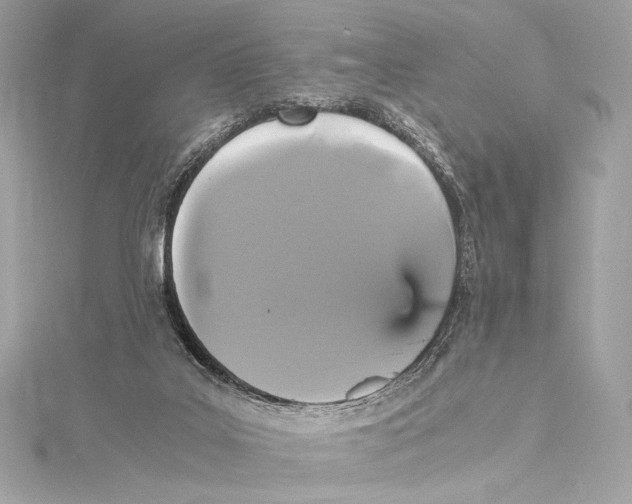 X0000115340019200911301557