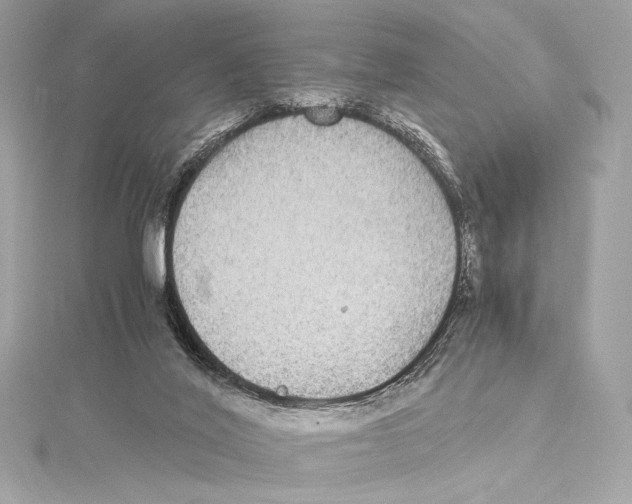 X0000115340020200911301557