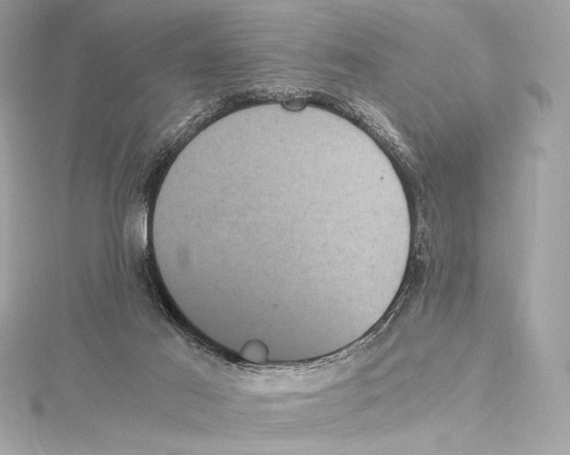 X0000115340021200911301557