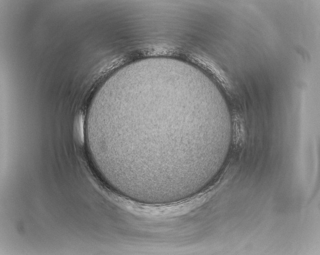 X0000115340022200911301557