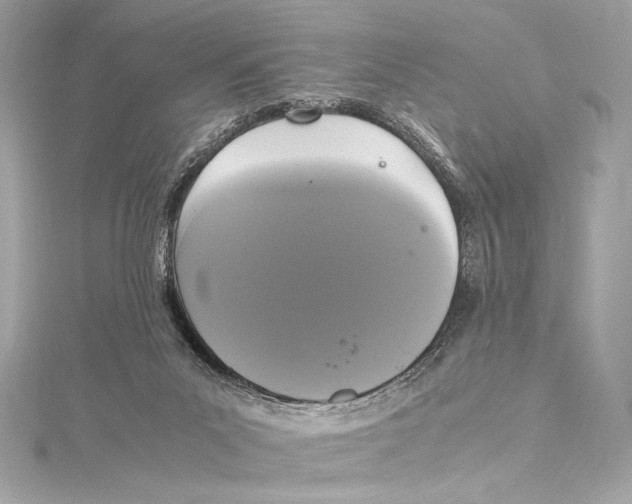 X0000115340023200911301557