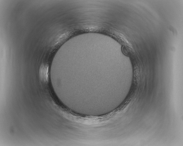 X0000115340024200911301557