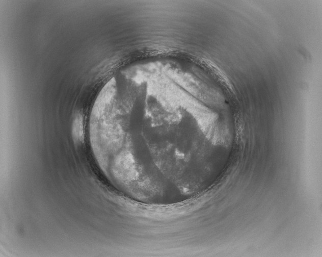 X0000115340026200911301557