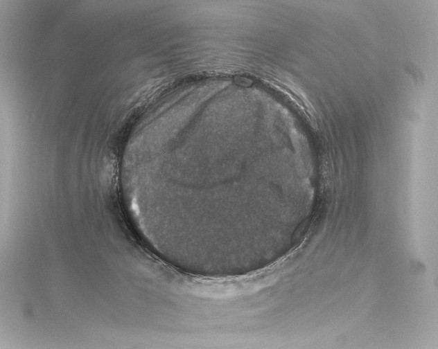 X0000115340029200911301557