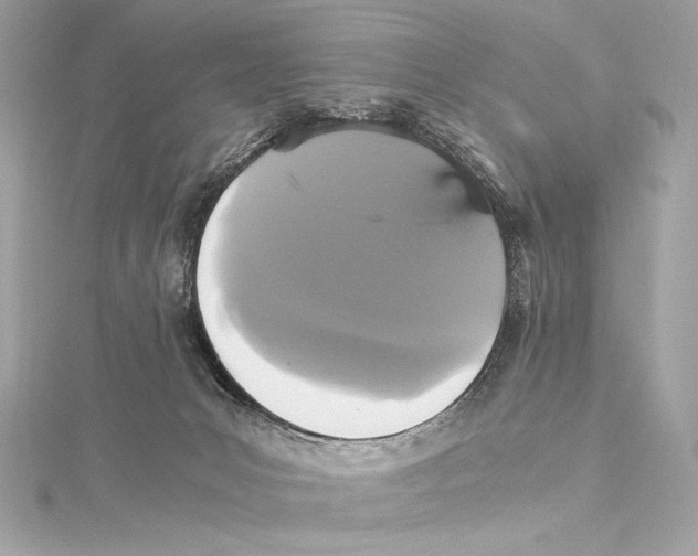 X0000115340031200911301557