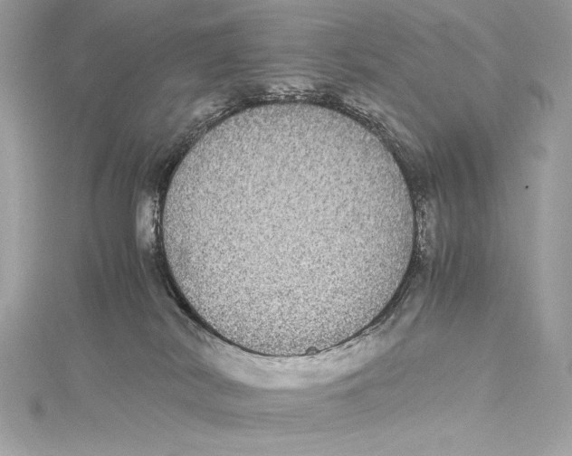 X0000115340038200911301556