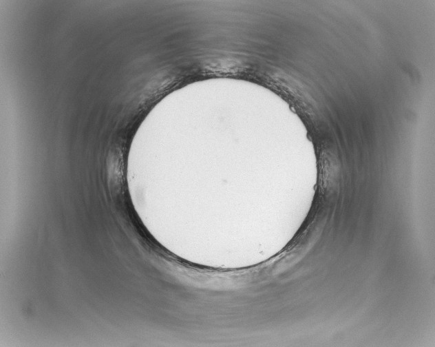 X0000115340040200911301556