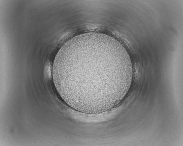 X0000115340042200911301556