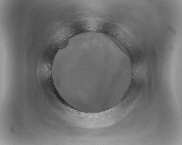 X0000115340043200911301556