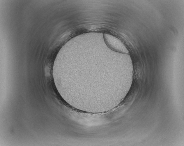 X0000115340044200911301556