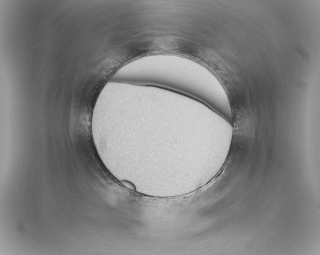 X0000115340045200911301556