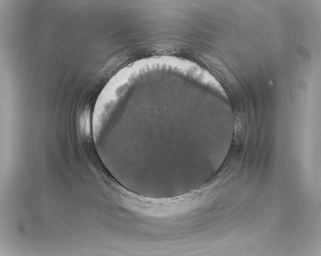 X0000115340046200911301556