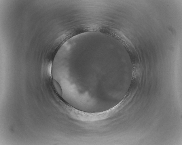 X0000115340047200911301556