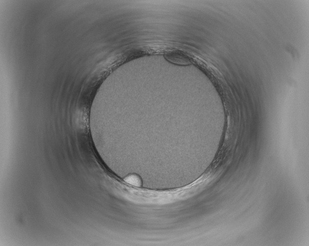 X0000115340048200911301556