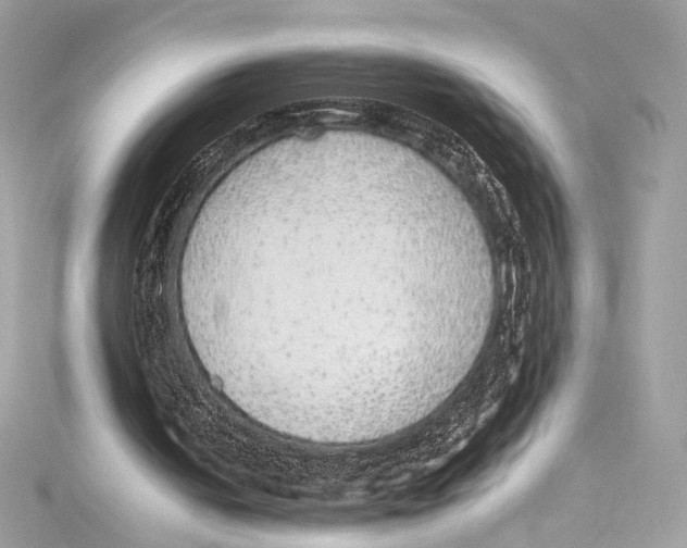 X0000115340050200911301556