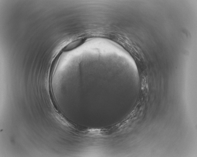 X0000115340052200911301556