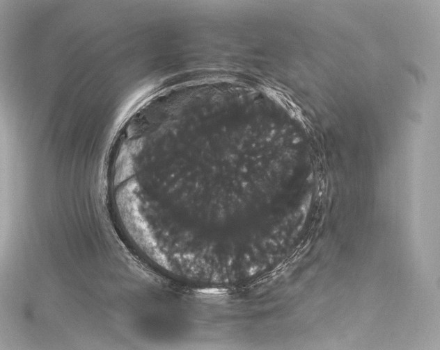 X0000115340053200911301556