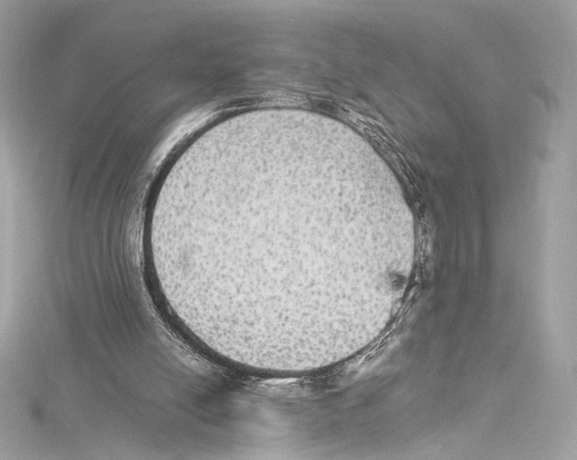 X0000115340054200911301556