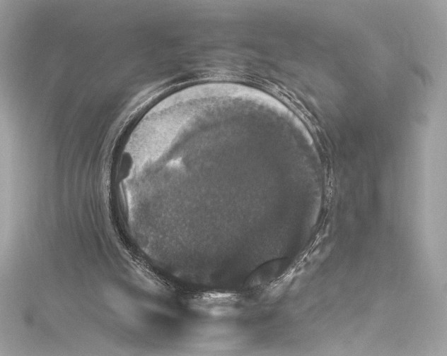 X0000115340055200911301556