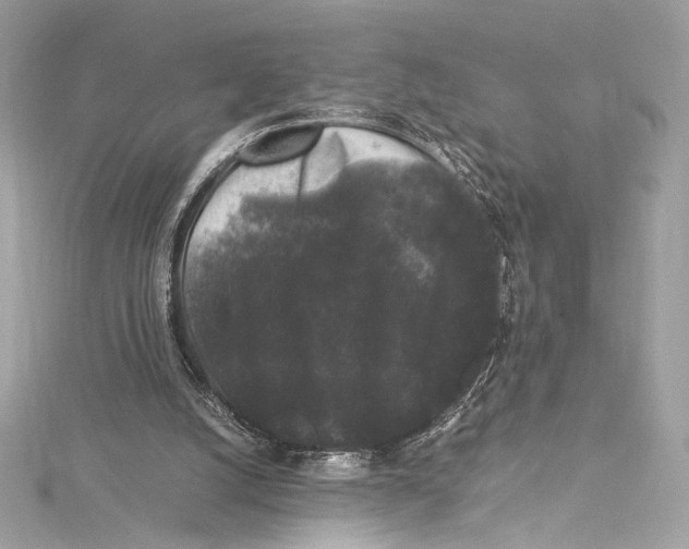 X0000115340056200911301556