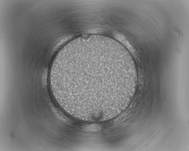 X0000115340058200911301556