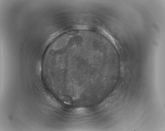 X0000115340059200911301556