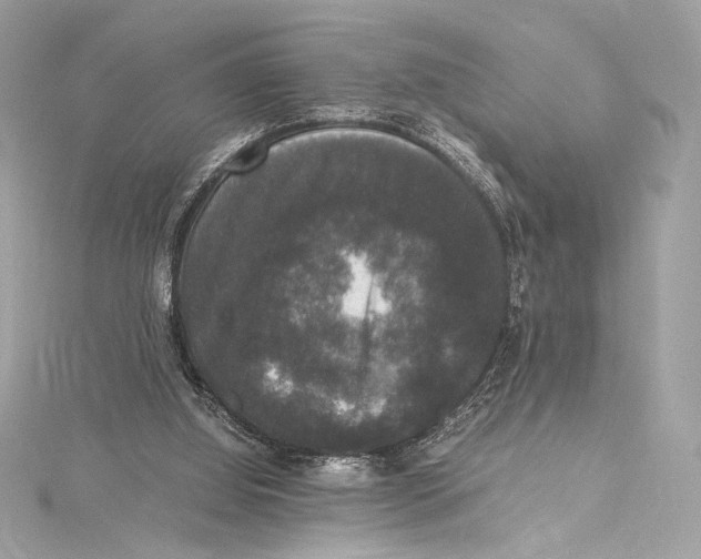 X0000115340060200911301556