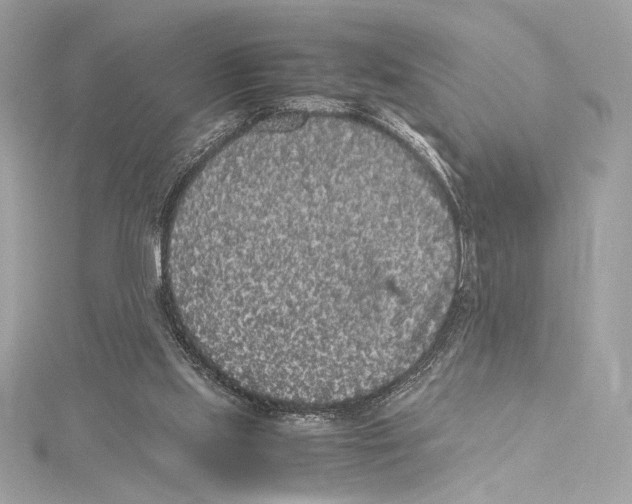 X0000115340061200911301556