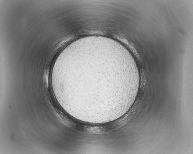 X0000115340062200911301556