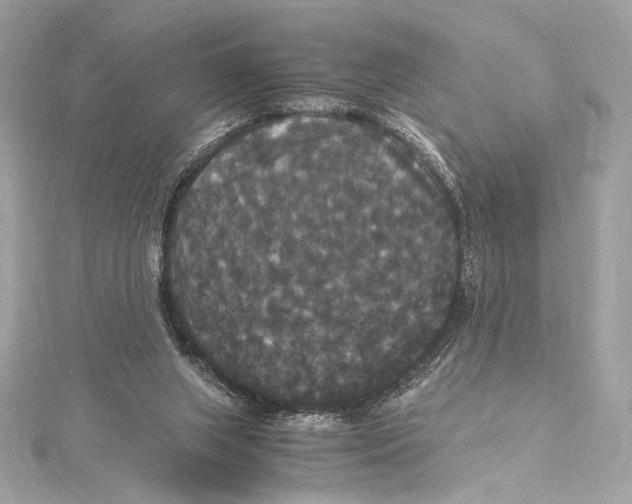 X0000115340063200911301556