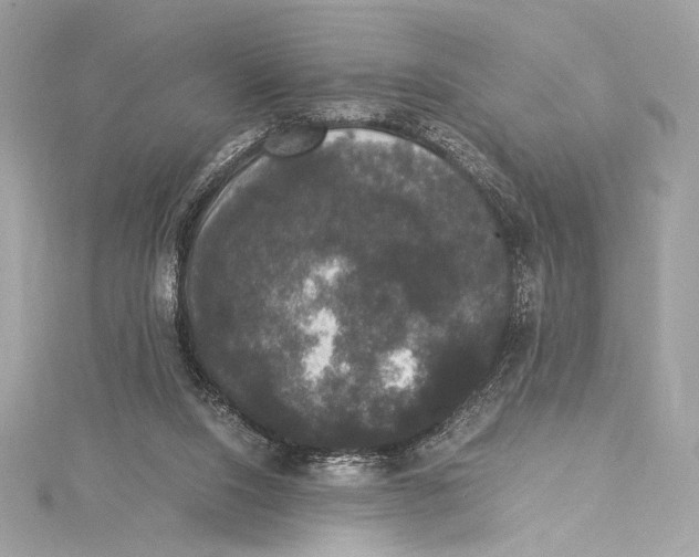 X0000115340064200911301556