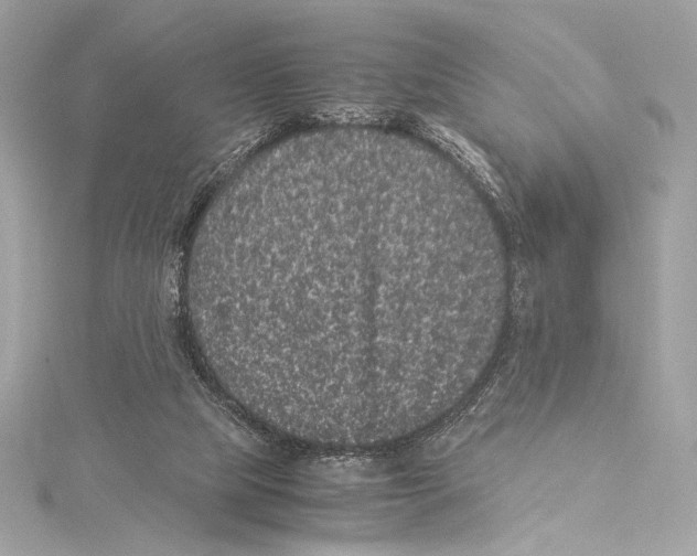 X0000115340065200911301556