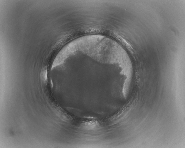 X0000115340067200911301556