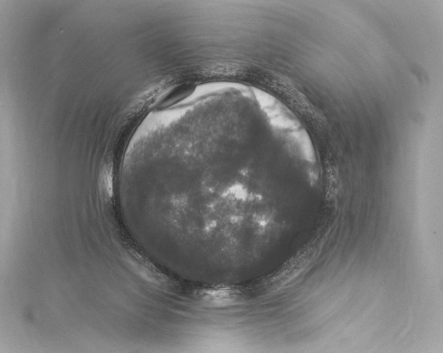 X0000115340068200911301556