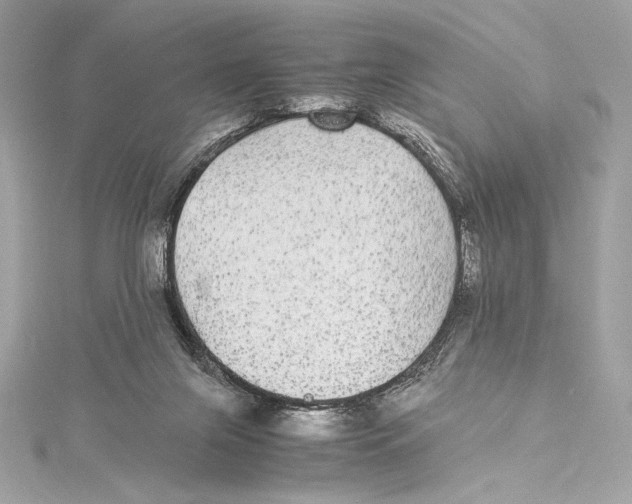 X0000115340071200911301556