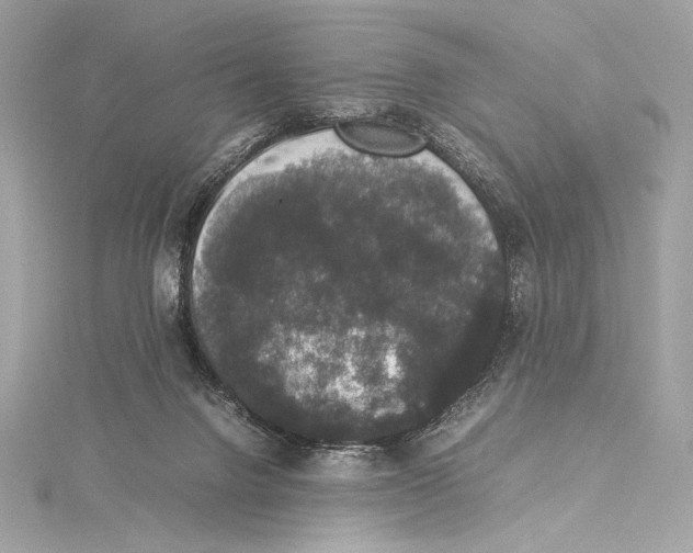 X0000115340072200911301556