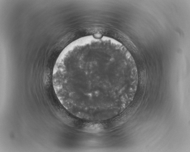 X0000115340073200911301556