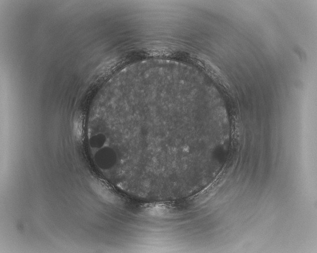 X0000115340074200911301556