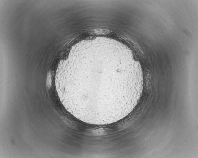 X0000115340075200911301556