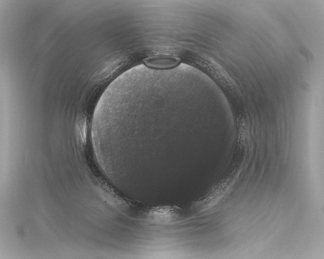 X0000115340076200911301556