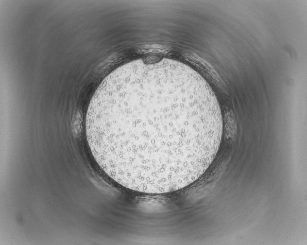 X0000115340077200911301556